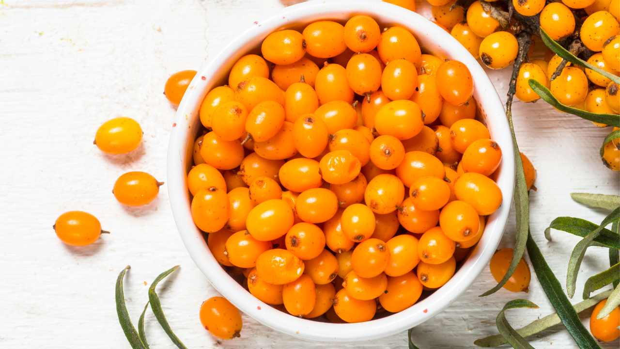 サジーの効果は？1年飲み続けた30代男性のリアルレビュー